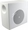JBL Control 50S/T-WH сабвуфер со встроенным кроссовером. Длинноходовый 8" динамик, продолжительная мощность 100Вт, переключатель режима 70В/100В или низкоомный, выходы на 2 или 4 сателлита (C42C, C52 или C62P). Скоба для настенного монтажа в комплекте. Цв - фото 9507