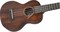 GRETSCH G9110-L CNCRT LN UKE AE W/GB Укулеле концерт, длинный гриф, с чехлом, цвет натуральный - фото 95930