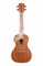 KALA KA-CGE Kala Concert Gloss Mahogany Ukulele w/EQ электроакустическое укулеле, форма корпуса - концерт, цвет натуральный (гля - фото 96776