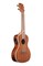 KALA KA-CGE Kala Concert Gloss Mahogany Ukulele w/EQ электроакустическое укулеле, форма корпуса - концерт, цвет натуральный (гля - фото 96779
