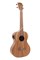 KALA KA-PWTE Kala Pacific Walnut Tenor Ukulele w/EQ электроакустическое укулеле, форма корпуса - тенор, цвет натуральный - фото 96866