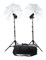 Комплект с двумя моноблоками Profoto D1 Studio Kit 500/500 901053 - фото 97391