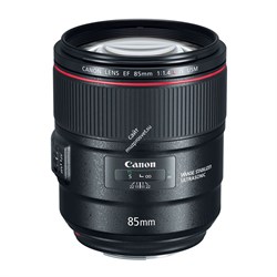 Объектив Canon EF 85mm f/1.4L IS USM - фото 102329