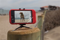 GripTight Micro Stand™для iPhone, Galaxy, смартфонов и др. электронных устр-в (рамка+ Micro250) - фото 109031