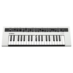 YAMAHA REFACE CS - синтезатор аналогового моделирования,37 кл. HQ мини (дин.), 5 типов осц. 8 полиф. - фото 117727