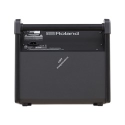 Roland PM-100 - монитор для V-Drums, 80 Вт - фото 120800