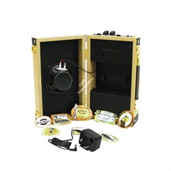 Luna UKE SA 5 Ukulele Amplifier 5W - Гитарный усилитель,5Вт - фото 121549