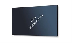 Дисплей MultiSync X464UNS-2 - фото 131277