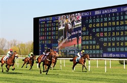 Светодиодный дисплей LBS120DA1D - фото 131357