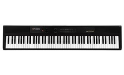 Artesia Performer Black Цифровое фортепиано. 88 кл.; полифония: 32 г - фото 140544