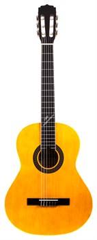 ARIA FIESTA FST-200-58 N Гитара классическая, размер 3/4, верх: американская липа - фото 140602