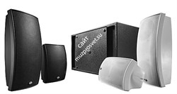 DAS AUDIO ARCO-24T Пассивная двухполосная акустическая система со встроенным трансформатором - фото 142248