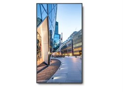 Дисплей MultiSync C651Q - фото 146812