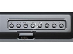Дисплей MultiSync X555UNS PG - фото 147131