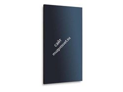 Дисплей MultiSync X555UNS PG - фото 147132