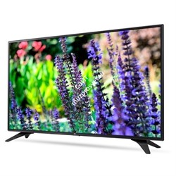 Коммерческий телевизор LG 43" 43LV340C - фото 147761