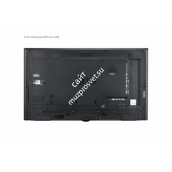 Дисплей LG 49SM5KE-B - фото 148046