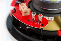 CVGaudio TXR808 - фото 155120