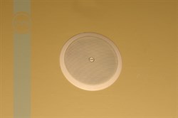 CVGaudio CPA6T - фото 155182