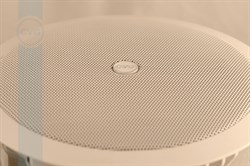 CVGaudio CPA6T - фото 155183