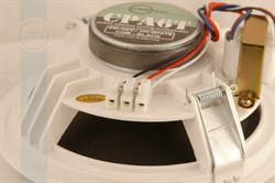 CVGaudio CPA6T - фото 155184