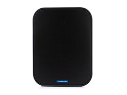 Двухполосная настенная влагозащищенная акустическая система, 1/2/4/8/16/32W-100V, 40W/max80W - 8ohm, IP65, цвет черный - фото 155302