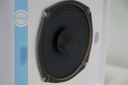 Широкополосный Public Address настенный громкоговоритель CVGaudio WPS6T с аттенюатором - фото 155576