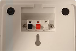 CVGaudio WPA10T - фото 155586