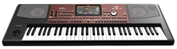 KORG PA700 RD профессиональная аранжировочная станция, 61 клавиша. Лимитированное издание - фото 155786