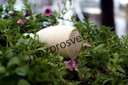 Широкополосные всепогодные (IP65) акустические системы для систем фонового звука и использования как в помещении, так и на открытом воздухе - фото 156554