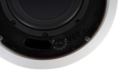 Пассивный потолочный сабвуфер 8", low-pass фильтр, 80W/40W/20W/10W-100V, 80W(RMS)/160W(max), белый - фото 156572