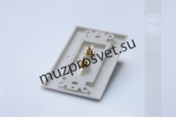 Настенная декоративная розетка 2RCA для подключения линейного звукового сигнала или композитного (CVBS) видео сигнала - фото 157277