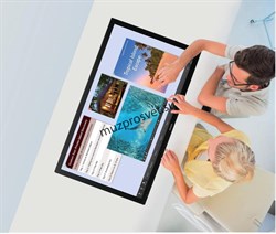 Интерактивный ЖК-дисплей Sharp PN50TC1 50" (емкостной сенсор 10 точек) - фото 159268