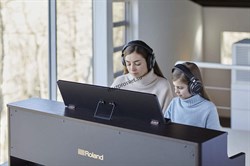 Roland HP702-CB - цифровое фортепиано, 88 кл. PHA-4 Standard, Цена без стенда, цвет чёрный - фото 159428
