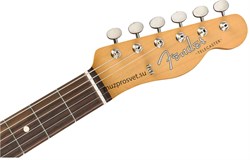FENDER JIMMY PAGE TELECASTER RW NAT электрогитара, в комплекте кейс - фото 160276