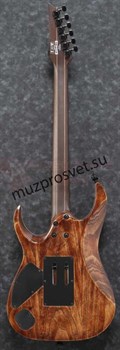 IBANEZ RGA60AL-ABL AXION LABEL RGA электрогитара, цвет натуральный (матовый). - фото 160614