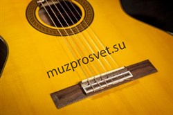 TAKAMINE GC5 NAT классическая гитара, топ из массива ели, цвет натуральный. - фото 160973