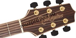 TAKAMINE G90 SERIES GD93 акустическая гитара типа DREADNOUGHT, цвет натуральный, верхняя дека - массив ели, нижняя дека и обечай - фото 161336