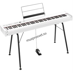 KORG D1 WH цифровое пианино, цвет белый - фото 161416
