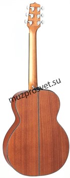 TAKAMINE GX11ME NS электроакустическая гитара, в комплекте кейс - фото 165514