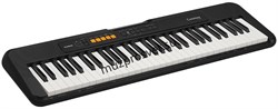 CASIO CT-S100 Синтезатор - фото 167470