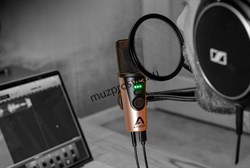 Apogee HypeMiC USB микрофон конденсаторный с аналоговым компрессором студийного качества, переключаемым в речевой и вокальный режимы. Создает записи эфирного качества "на ходу". Кардиоидный, поддержка форматов до 24/96, мониторный выход на наушники. совме - фото 168786