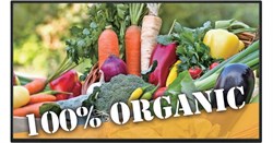 Информационная панель Sharp PN-M401 40" - фото 194505