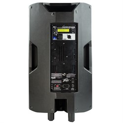 Peavey DM 112 Активная акустическая система с DSP-процессором - фото 205021