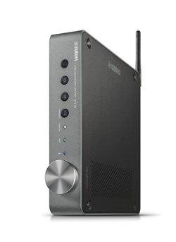 WXA-50 Dark Silver Беспроводной предусилитель для потокового воспроизведения - фото 206889