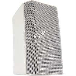 AD-S4T-WH / Настенная акустическая система  4"+0,75", 50 Вт, 68 – 20kHz,  70/100V и 8Ом, белый / QSC - фото 32888