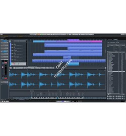STEINBERG Cubase Elements Retail - аудио и MIDI-секвенсор проф. уровня - фото 35572