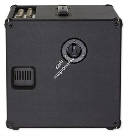 AC101/Гитарный комбо для акустики/DV MARK - фото 37180