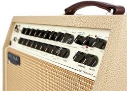MESA BOOGIE ROSETTE 300 / TWO-EIGHT ACOUSTIC COMBO - комбоусилитель для акустической гитары - фото 44787
