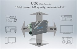 AJA UDC - фото 47562